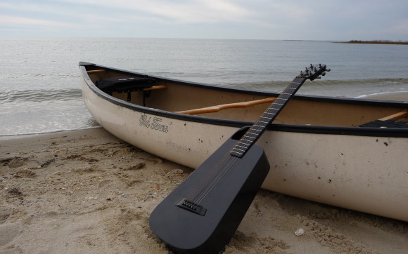 BLACKBIRD GUITARS 